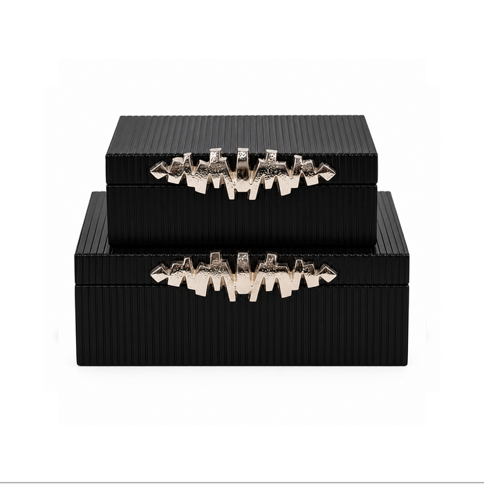 Silver & Black Boxes set of 2